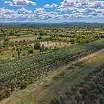 Rural Olive Krka- 4 Bedrooms, 3 Bathrooms, Private Pool, Park Krka 10 Min Ljubotic