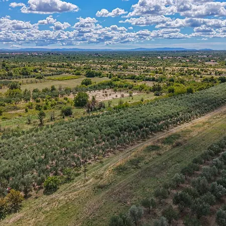 Rural Olive Krka- 4 Bedrooms, 3 Bathrooms, Private Pool, Park Krka 10 Min Ljubotic