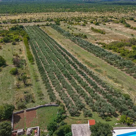 Rural Olive Krka: Poolside Retreat Near Krka Park Villa
