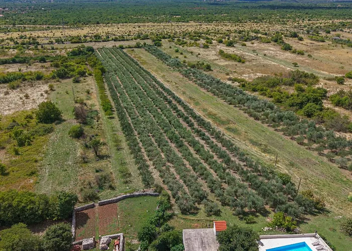 Rural Olive Krka- 4 Bedrooms, 3 Bathrooms, Private Pool, Park Krka 10 Min וילה